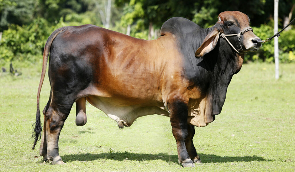 servicios de clasificacion